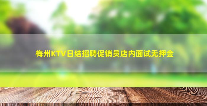 梅州KTV日结招聘促销员店内面试无押金